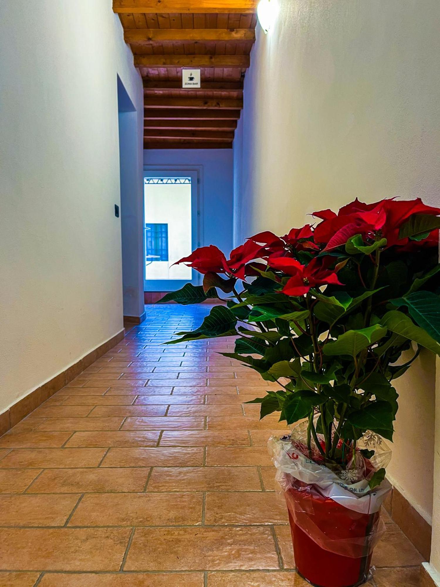 Apartamento House Brennero 29 Carpi Exterior foto